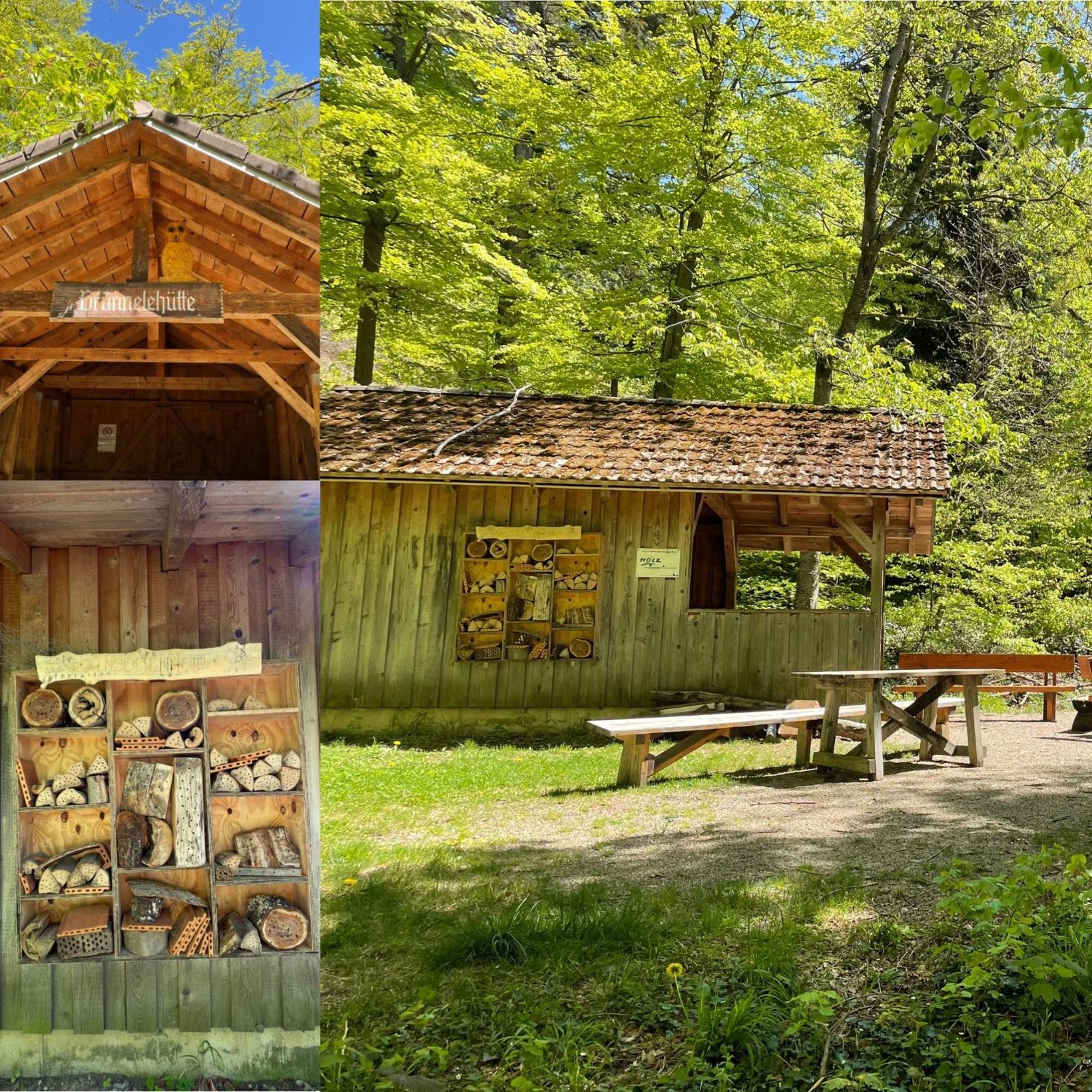 Familien Themen-Appartement Freiburg In Soelden 2 Schlafzimmer Εξωτερικό φωτογραφία