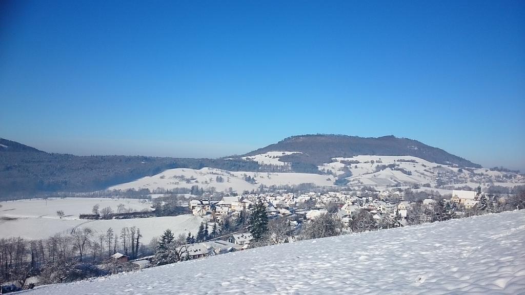 Familien Themen-Appartement Freiburg In Soelden 2 Schlafzimmer Εξωτερικό φωτογραφία