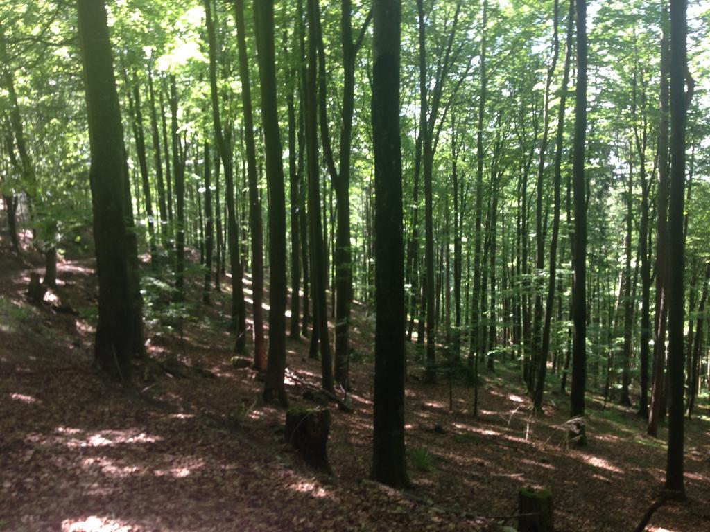 Familien Themen-Appartement Freiburg In Soelden 2 Schlafzimmer Εξωτερικό φωτογραφία