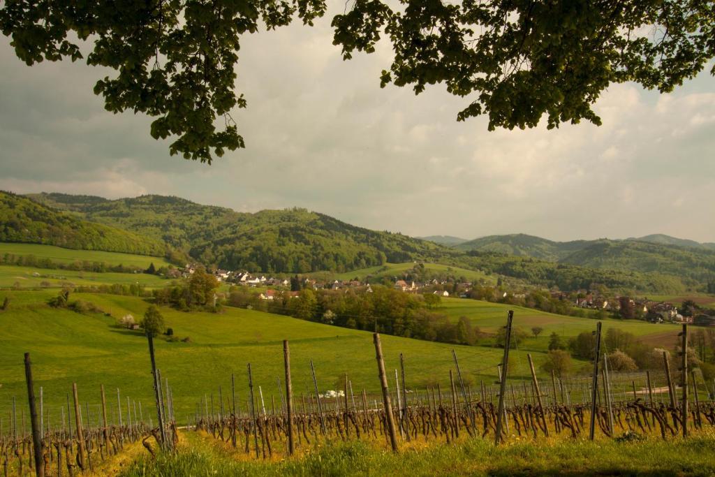 Familien Themen-Appartement Freiburg In Soelden 2 Schlafzimmer Δωμάτιο φωτογραφία